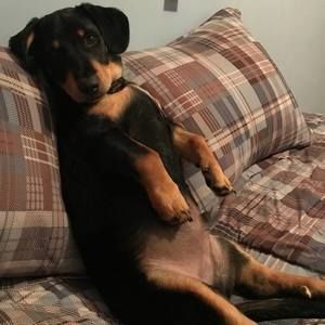 Meet your Posher, Raymond